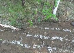 Увеличи снимката Highslide JS